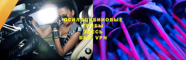 2c-b Белокуриха