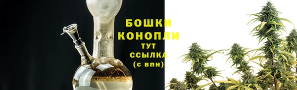 2c-b Белокуриха