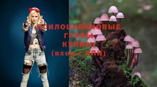 2c-b Белокуриха