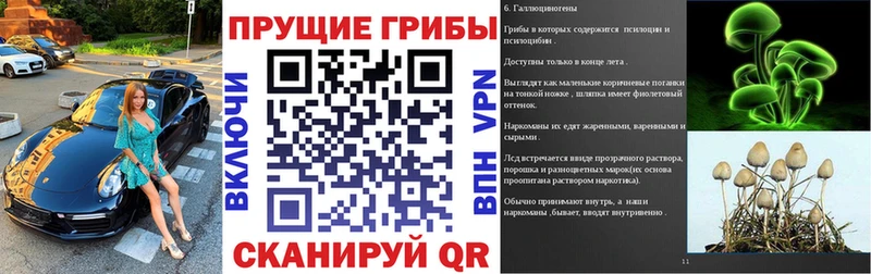 Псилоцибиновые грибы GOLDEN TEACHER  магазин    Волгореченск 